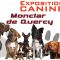 Exposition Canine de Montclar de Quercy (82) 