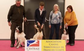 Exposition canine nationale de Lons Le Saunier (39)