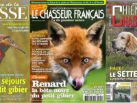 l-epagneul-francais-en-presentation-dans-les-revues-de-chasse