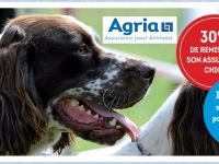 agria-assurance-pour-animaux