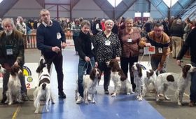 Exposition Canine Nationale d'Amiens (80)